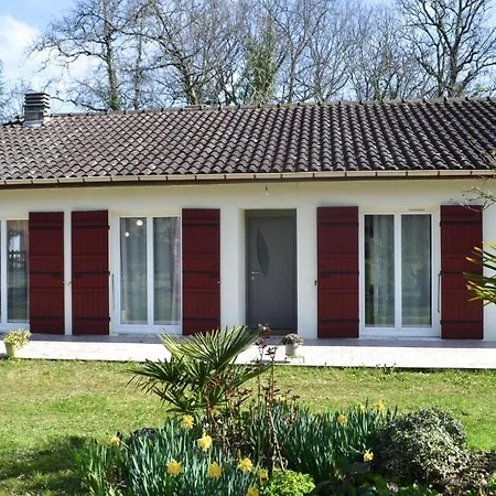 Stunning In With Kitchenette Holiday home Biras